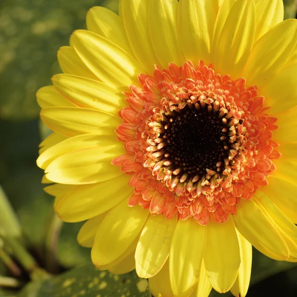 亚洲必赢捕鱼游戏